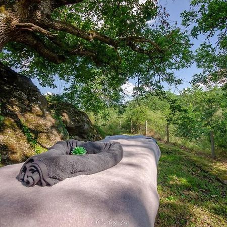 فيلا Gite Du Mont Plaisir Chouvigny المظهر الخارجي الصورة